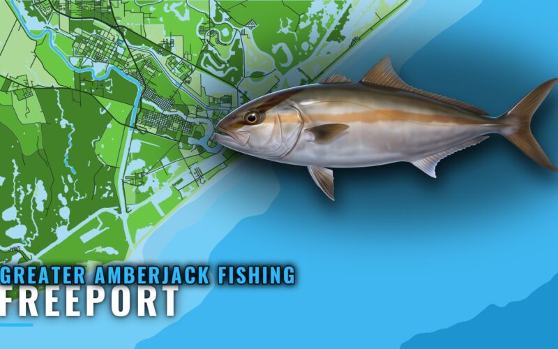 Greater Amberjack Fishing Out of Freeport, Texas