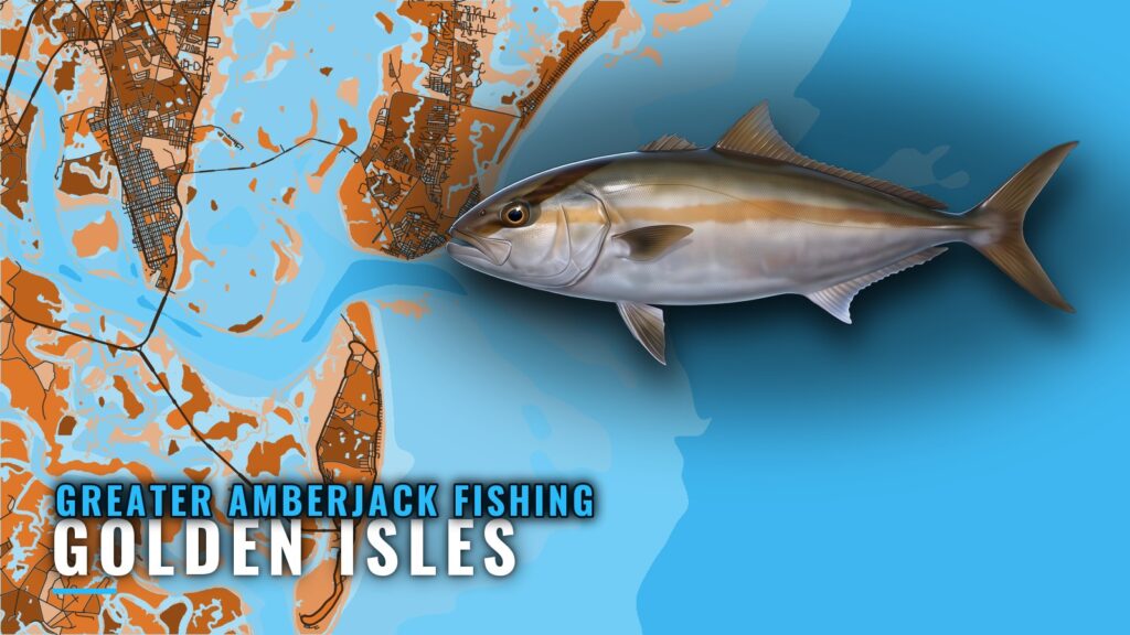 Greater Amberjack Fishing Out of Golden Isles, Georgia