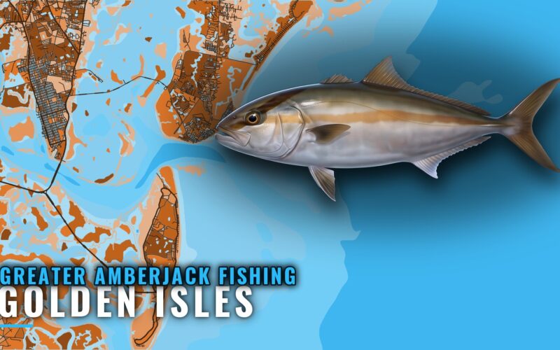 Greater Amberjack Fishing Out of Golden Isles, Georgia