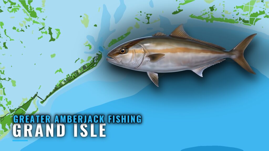 Greater Amberjack Fishing Out of Grand Isle: Rigs, Depths