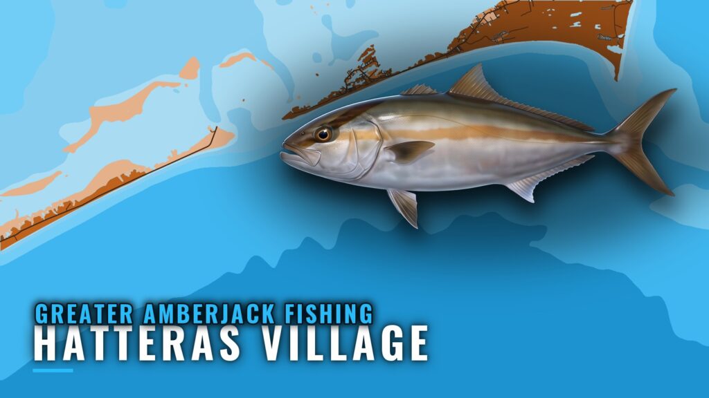 Greater Amberjack Fishing Out of Hatteras Village, NC