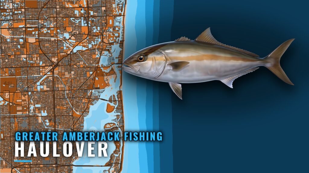 Greater Amberjack Fishing out of Haulover: Reefs and Depths