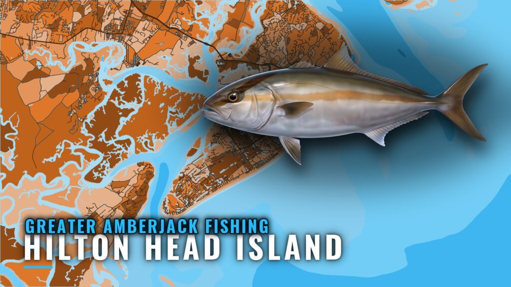 Greater Amberjack Fishing Out of Hilton Head Island: Reefs
