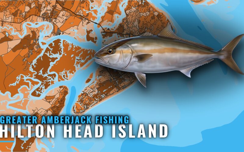Greater Amberjack Fishing Out of Hilton Head Island: Reefs
