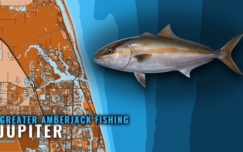 Greater amberjack fishing out of Jupiter: reefs and ledges
