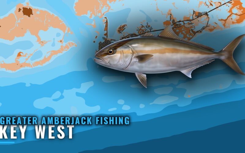 Greater Amberjack Fishing Out of Key West: Where Boats Run