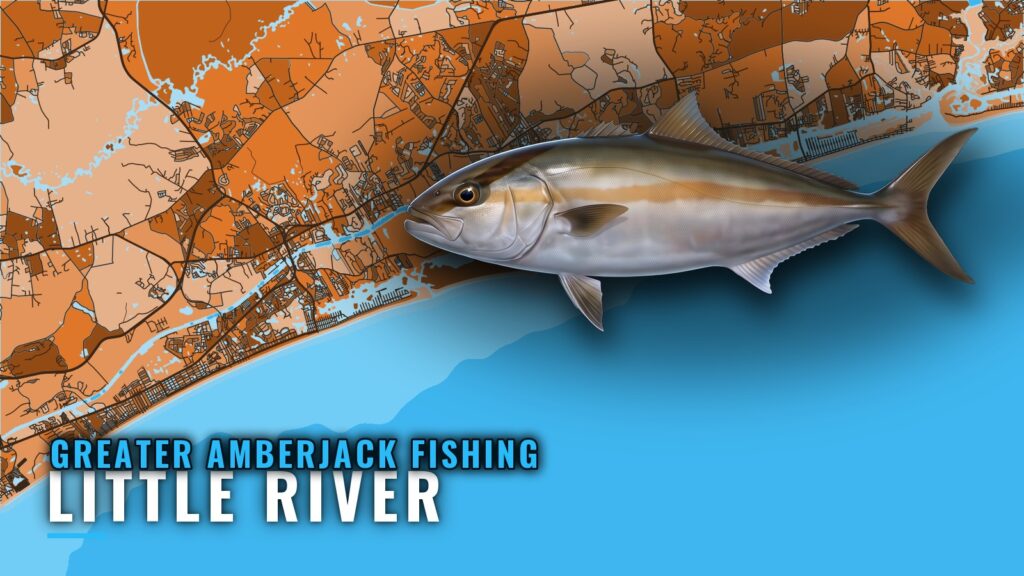 Greater Amberjack Fishing Out of Little River, SC