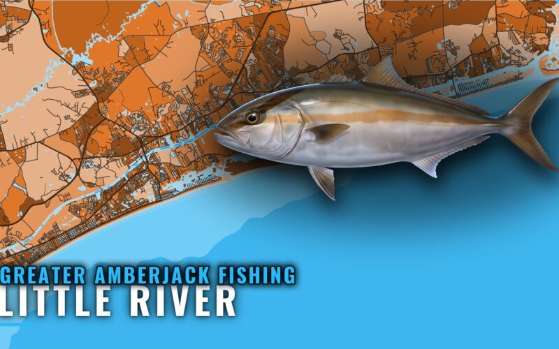 Greater Amberjack Fishing Out of Little River, SC