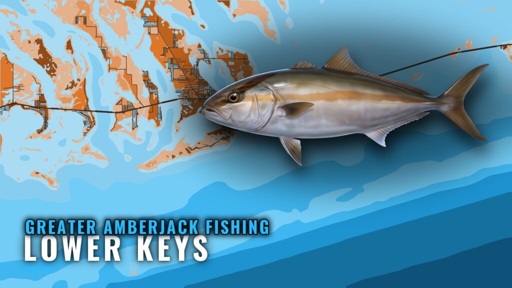 Greater Amberjack Fishing Out of the Lower Keys: The Runs