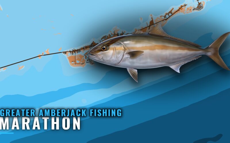 Greater Amberjack Fishing out of Marathon, by Depth