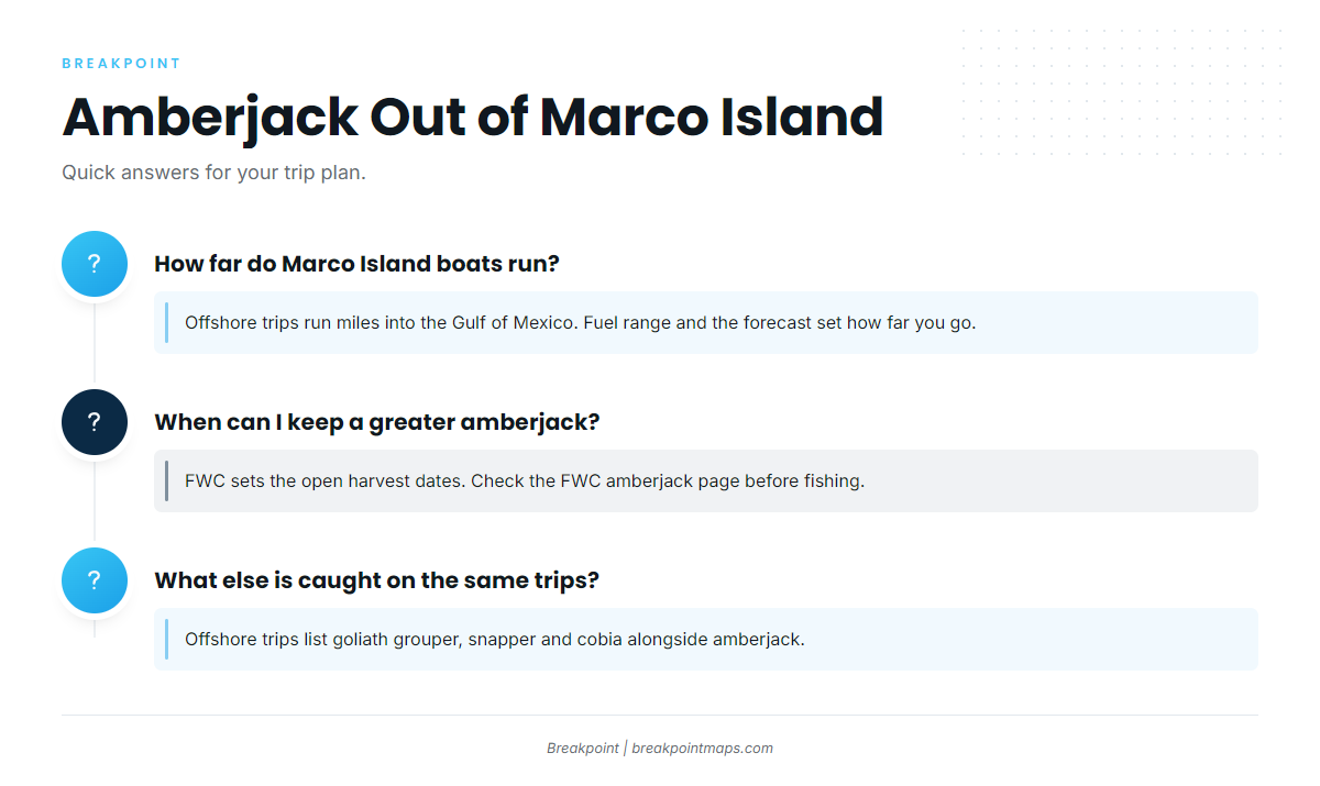 FAQ about greater amberjack fishing out of Marco Island