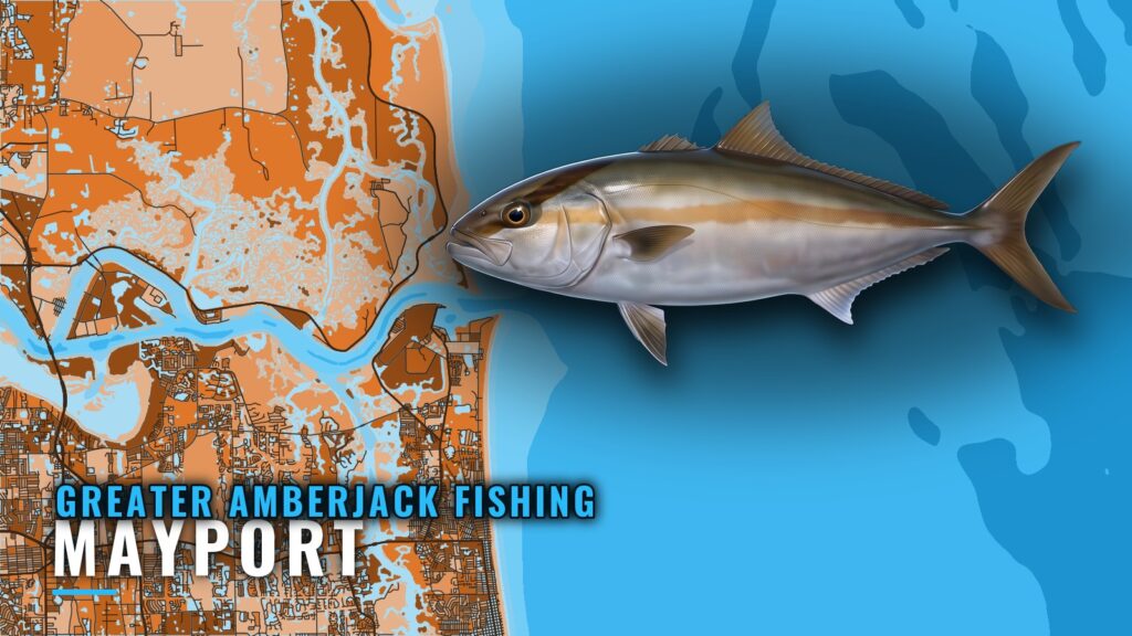 Greater Amberjack Fishing Out of Mayport: Reefs and Depths