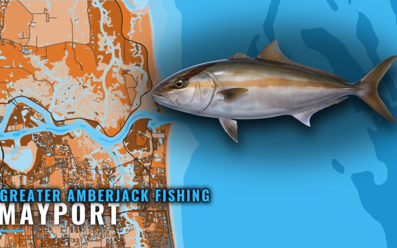 Greater Amberjack Fishing Out of Mayport: Reefs and Depths