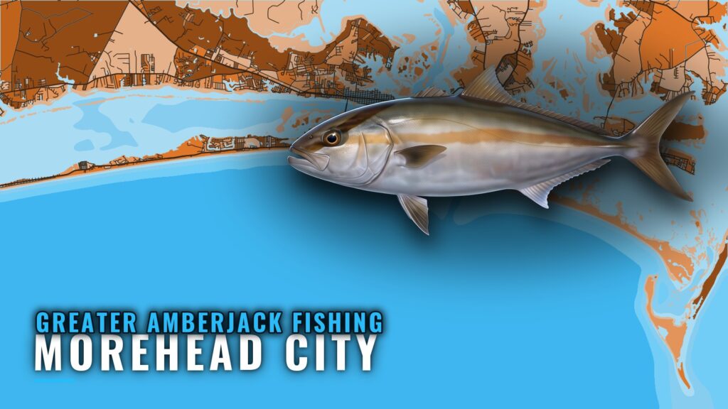 Greater amberjack fishing out of Morehead City: where to run