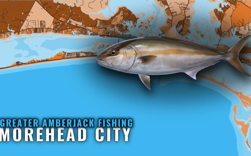 Greater amberjack fishing out of Morehead City: where to run