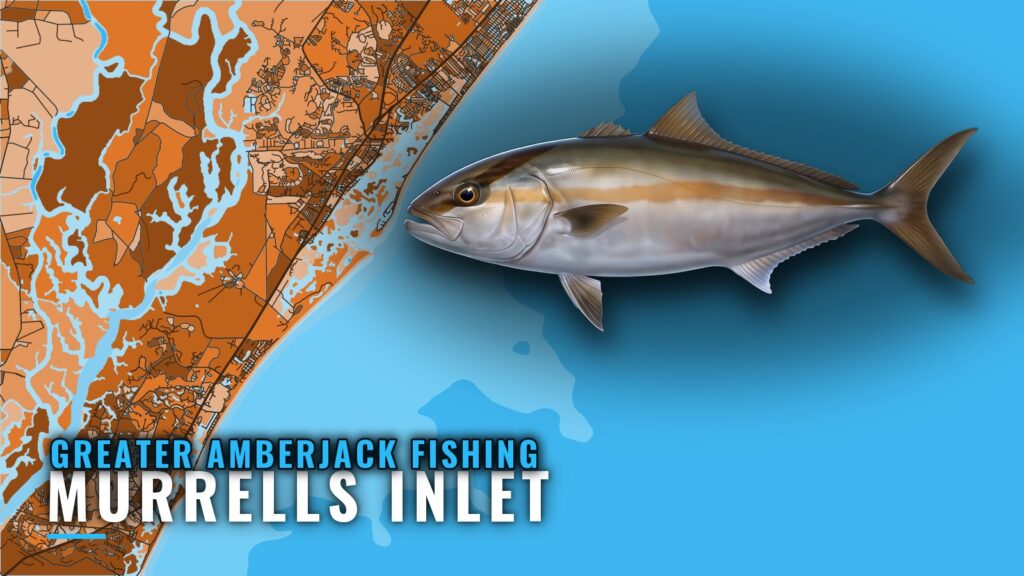 Greater Amberjack Fishing Out of Murrells Inlet: Run Sheet