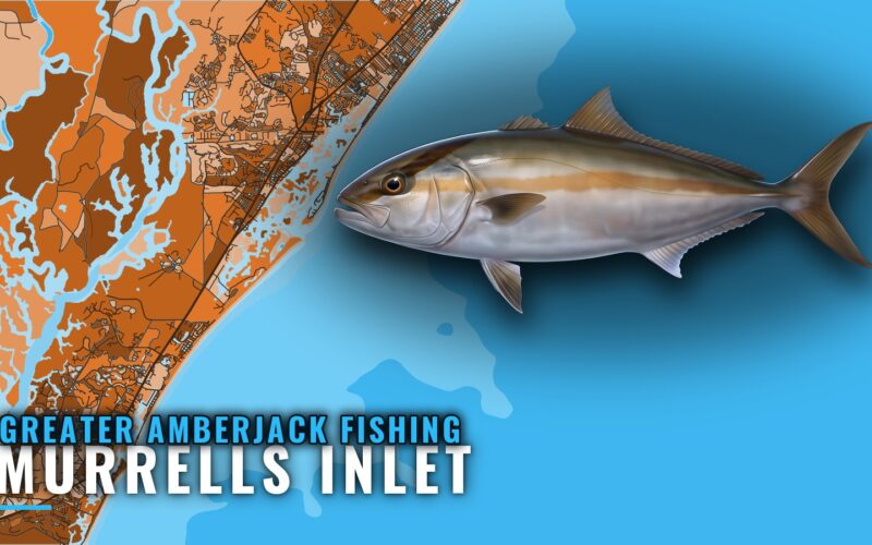 Greater Amberjack Fishing Out of Murrells Inlet: Run Sheet