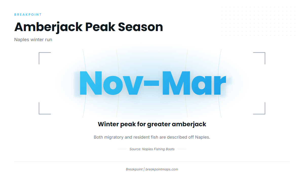Winter peak (Greater amberjack fishing out of Naples)