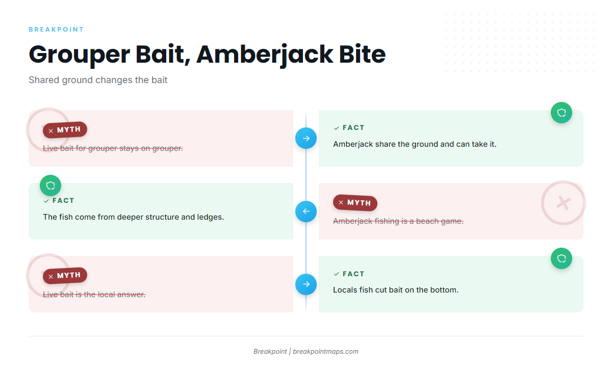 How greater amberjack are fished here