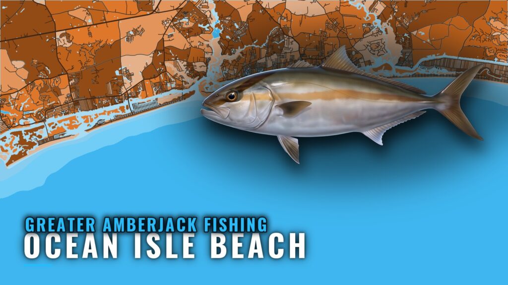 Greater amberjack fishing out of Ocean Isle Beach, NC