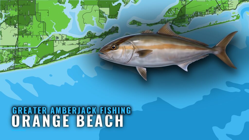 Greater Amberjack Fishing Out of Orange Beach: Where to Run