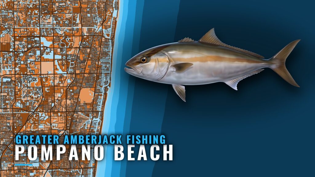 Greater Amberjack Fishing out of Pompano Beach: Port Guide