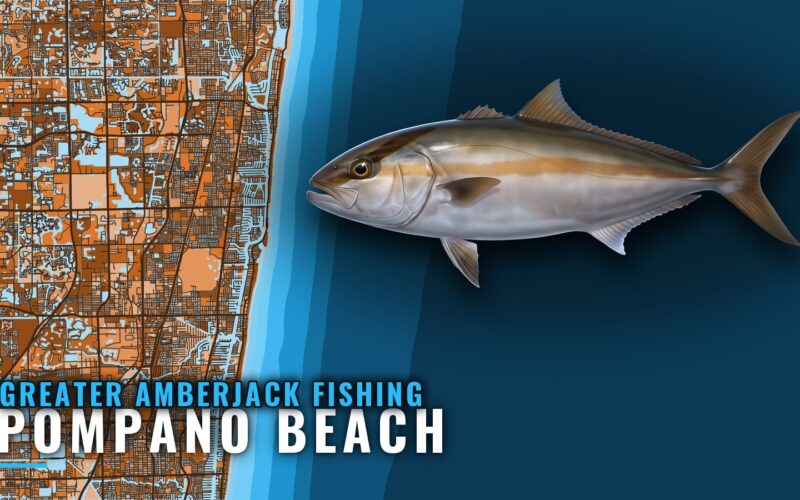 Greater Amberjack Fishing out of Pompano Beach: Port Guide