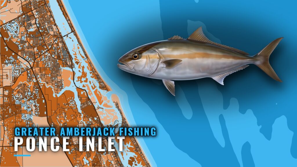 Greater Amberjack Fishing Out of Ponce Inlet: Where to Run