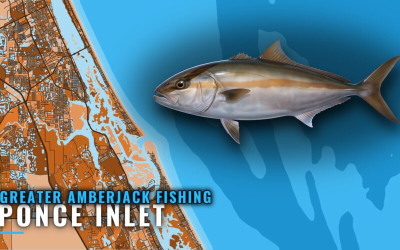 Greater Amberjack Fishing Out of Ponce Inlet: Where to Run