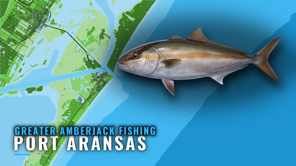 Greater Amberjack Fishing Out of Port Aransas: Reefs, Runs