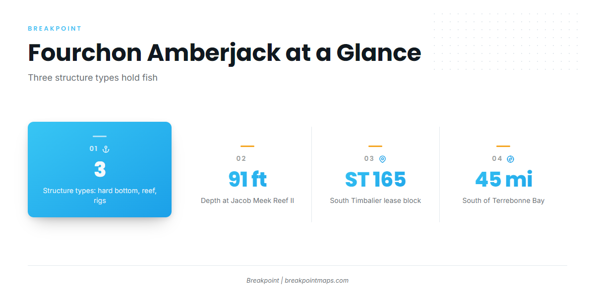 Where do I check the amberjack rules? (Greater amberjack fishing out of Port Fourchon)