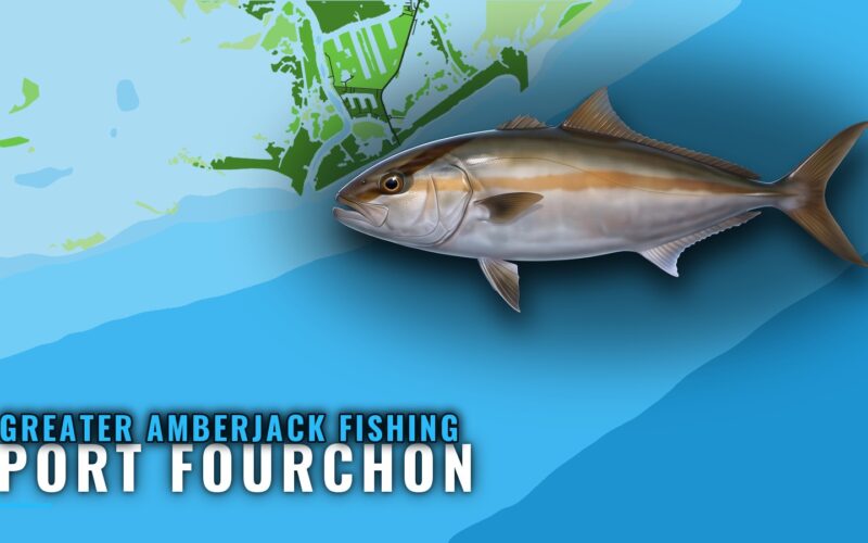 Greater Amberjack Fishing Out of Port Fourchon, Louisiana