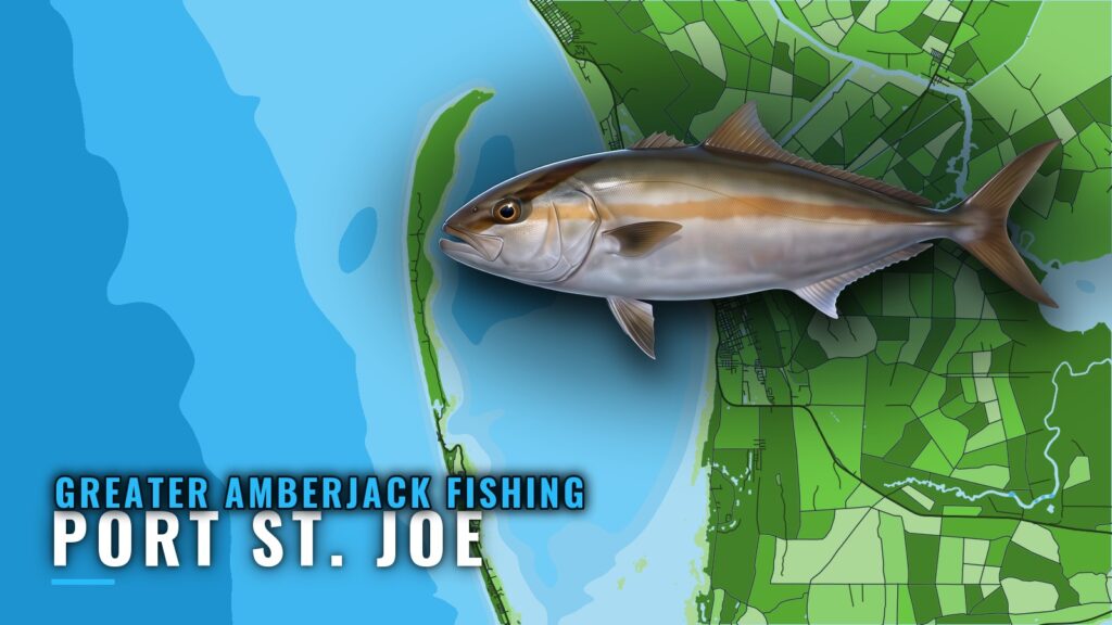 Greater Amberjack Fishing Out of Port St. Joe: Reefs, Runs