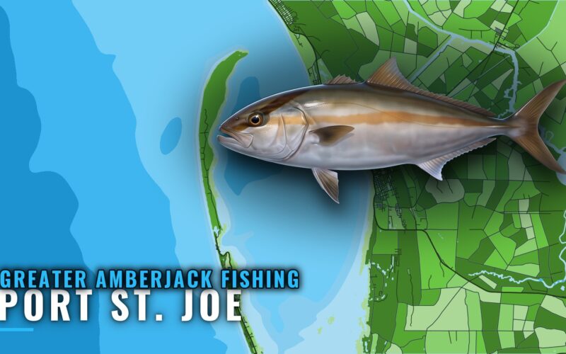 Greater Amberjack Fishing Out of Port St. Joe: Reefs, Runs