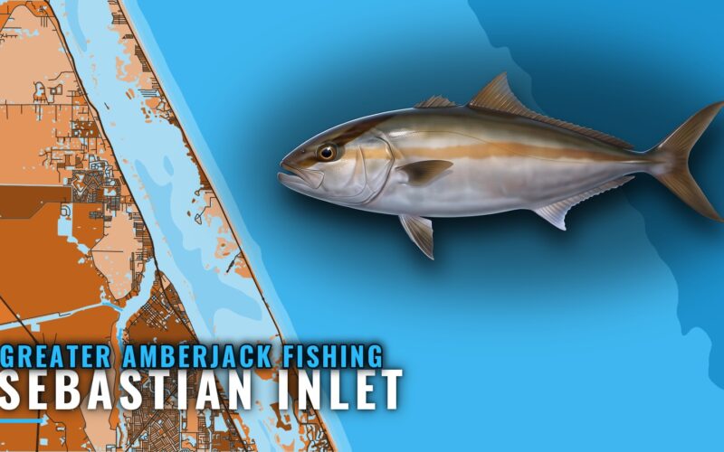 Greater Amberjack Fishing Out of Sebastian Inlet by Month