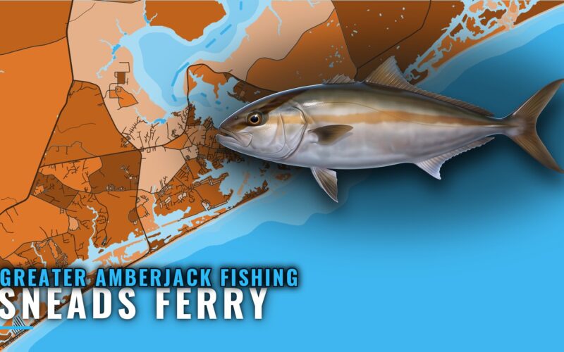 Greater amberjack fishing out of Sneads Ferry, NC