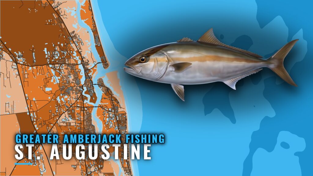 Greater Amberjack Fishing out of St. Augustine: Reef Guide