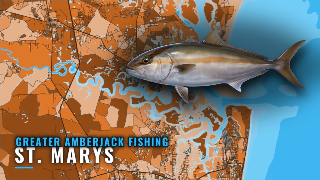 Greater Amberjack Fishing Out of St. Marys: Reefs and Ledge