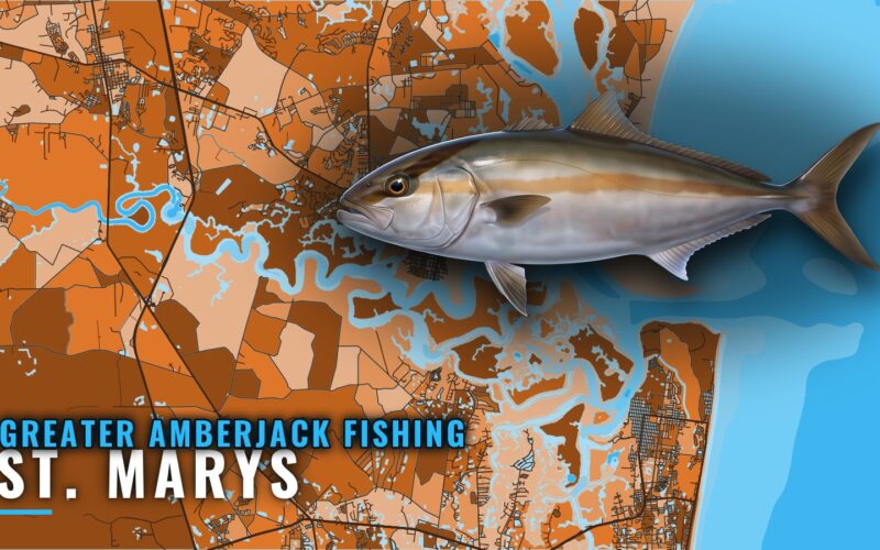 Greater Amberjack Fishing Out of St. Marys: Reefs and Ledge