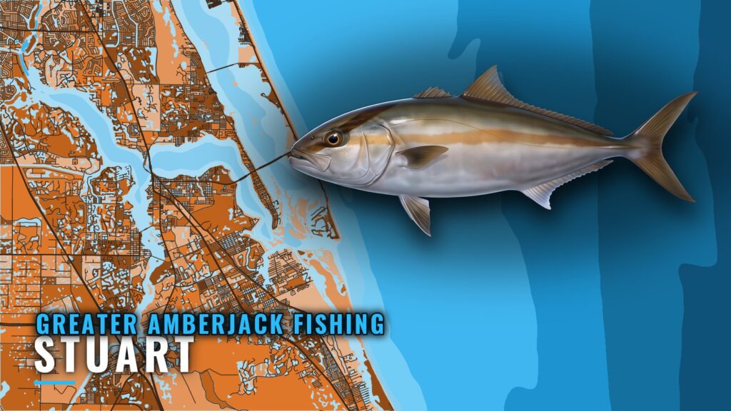Greater Amberjack Fishing Out of Stuart: Grounds and Rigs
