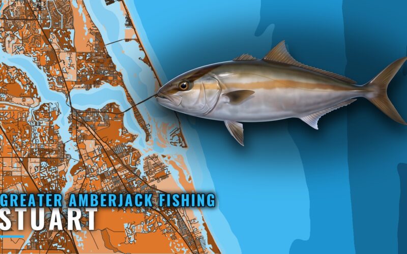 Greater Amberjack Fishing Out of Stuart: Grounds and Rigs