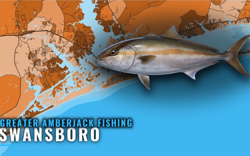 Greater Amberjack Fishing Out of Swansboro: Reefs and Rigs
