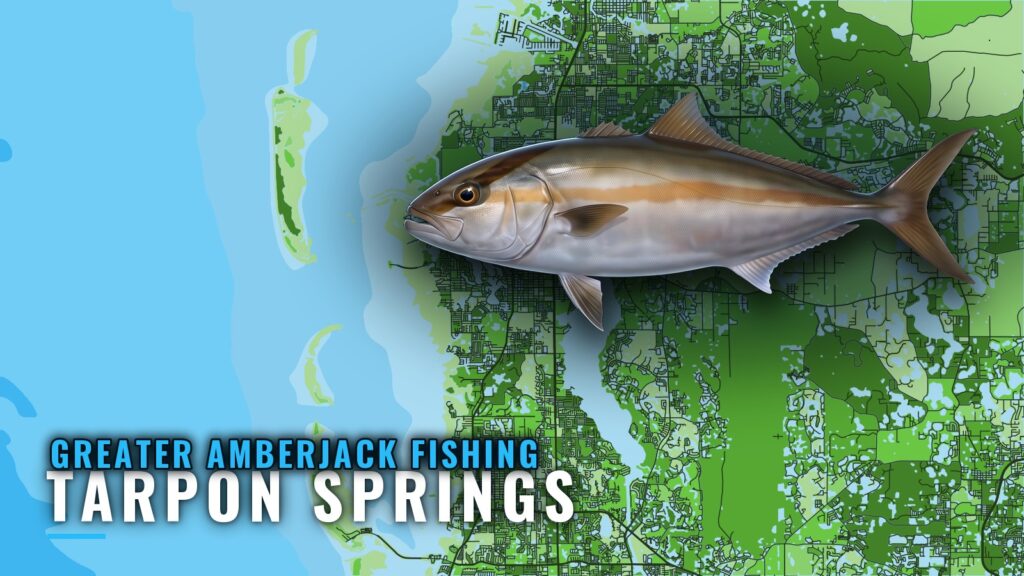 Greater Amberjack Fishing Out of Tarpon Springs: Grounds