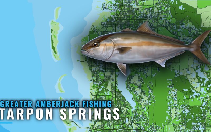 Greater Amberjack Fishing Out of Tarpon Springs: Grounds