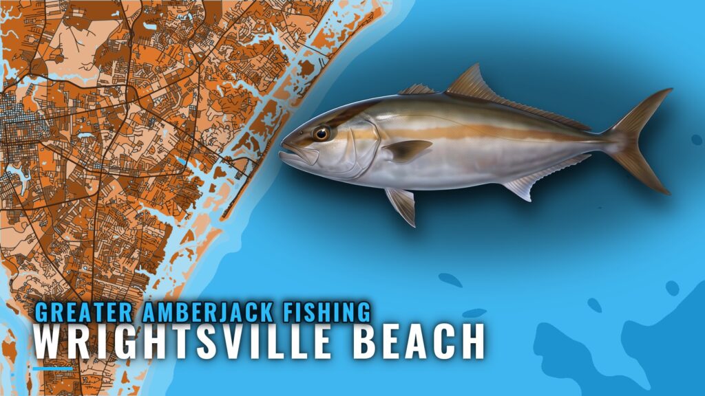 Greater Amberjack Fishing out of Wrightsville Beach, NC