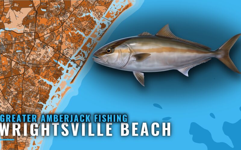 Greater Amberjack Fishing out of Wrightsville Beach, NC
