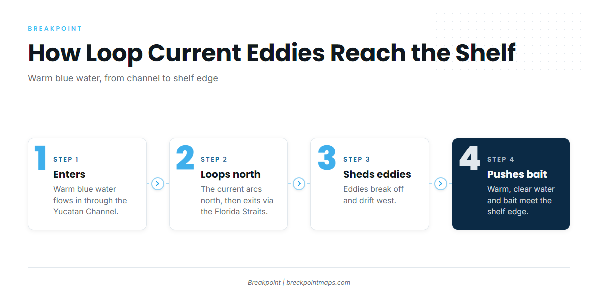 The Loop Current and its eddies