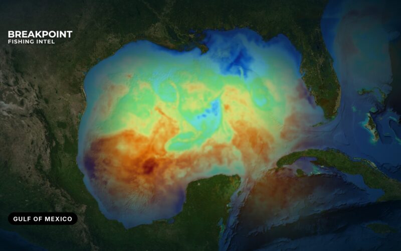 Gulf of Mexico Fishing Guide: Species, Structure and Seasons