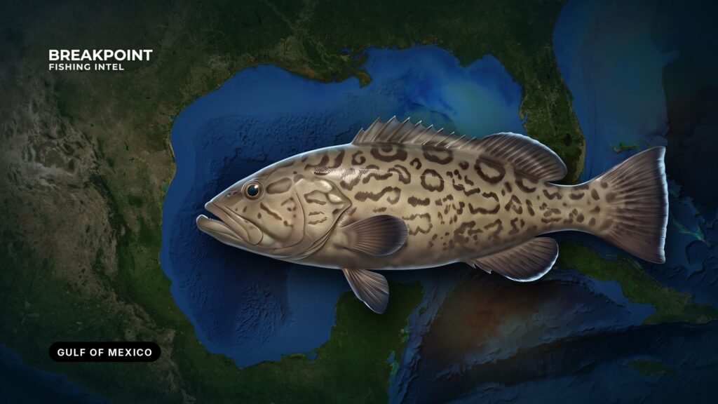 Gulf of Mexico Federal Reef Fish Rules: How They Work