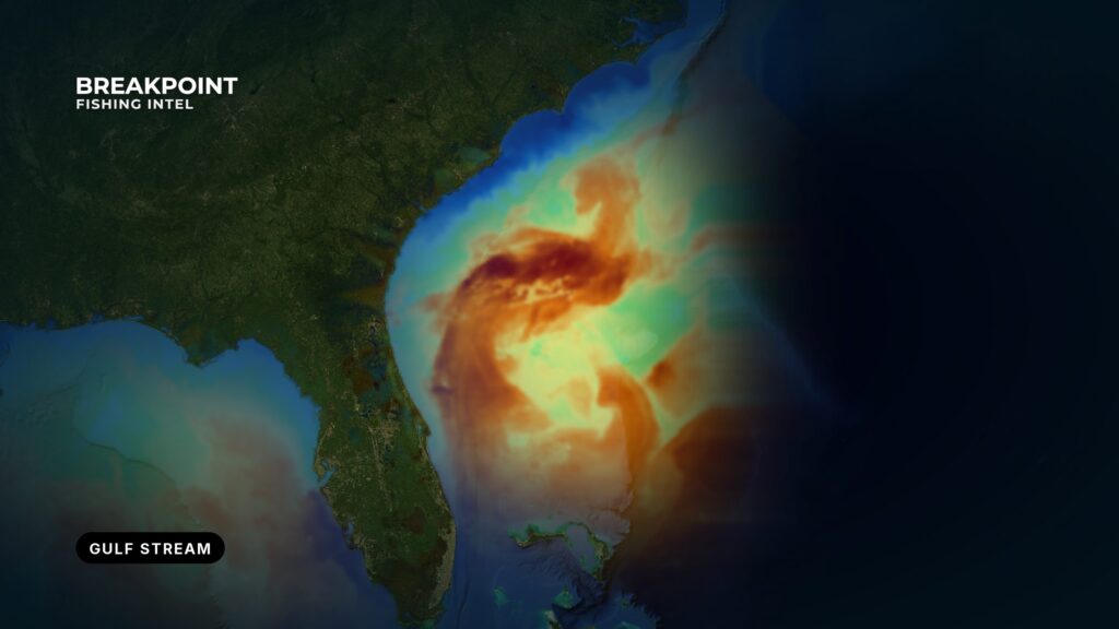 Reading the Gulf Stream Inshore Edge: Check It on the Day
